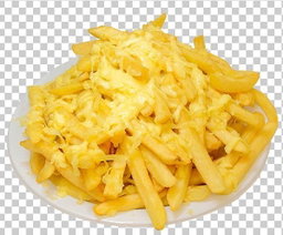 Cheesy Fries