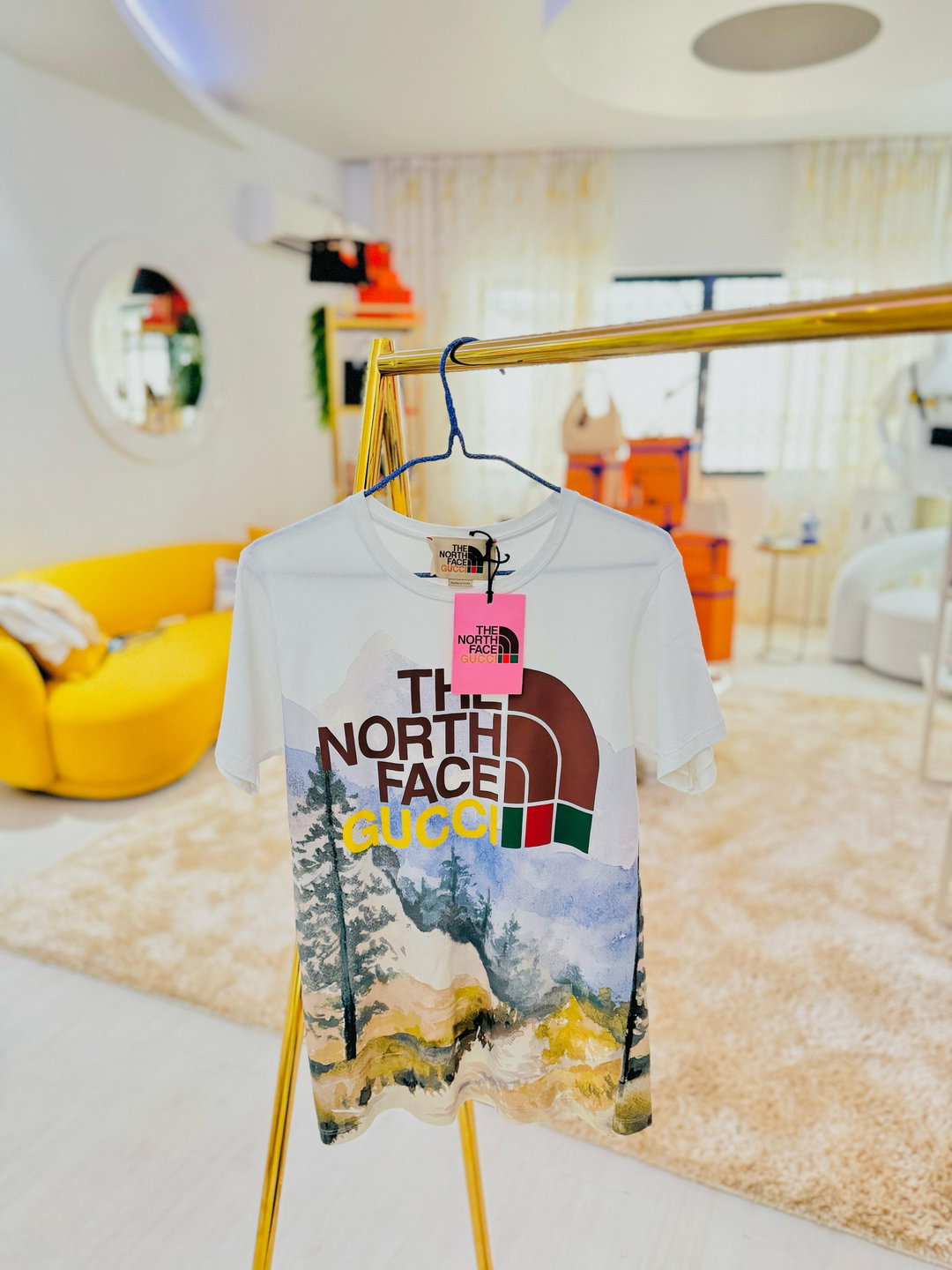 T shirt Gucci x the north face