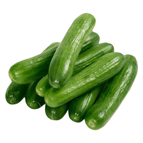 Cucumber