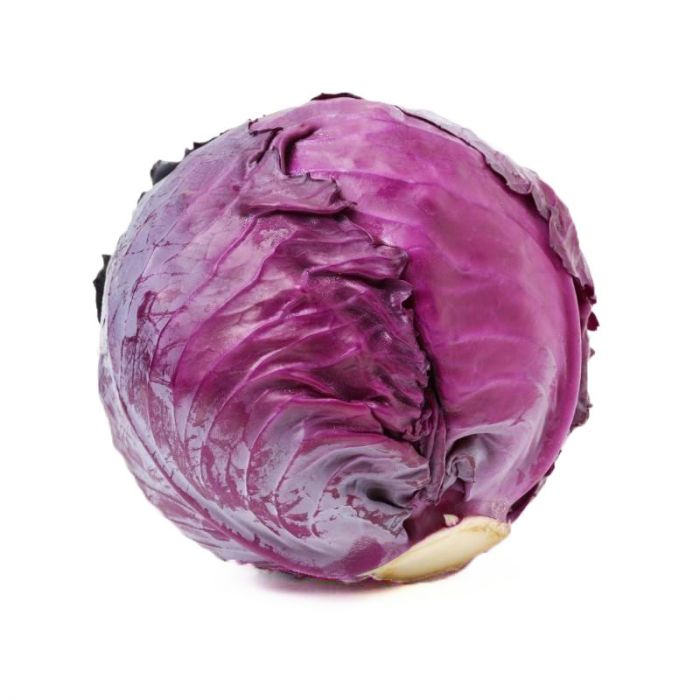 Red cabbage_1