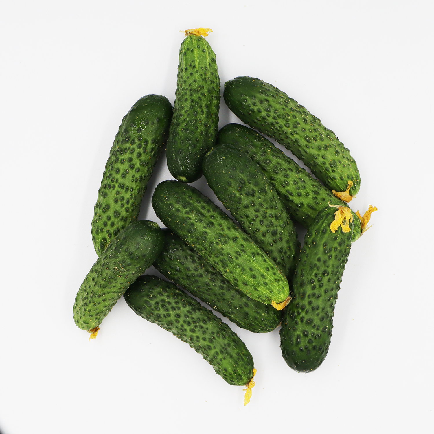 Crispy Cucumbers 1 pack_2