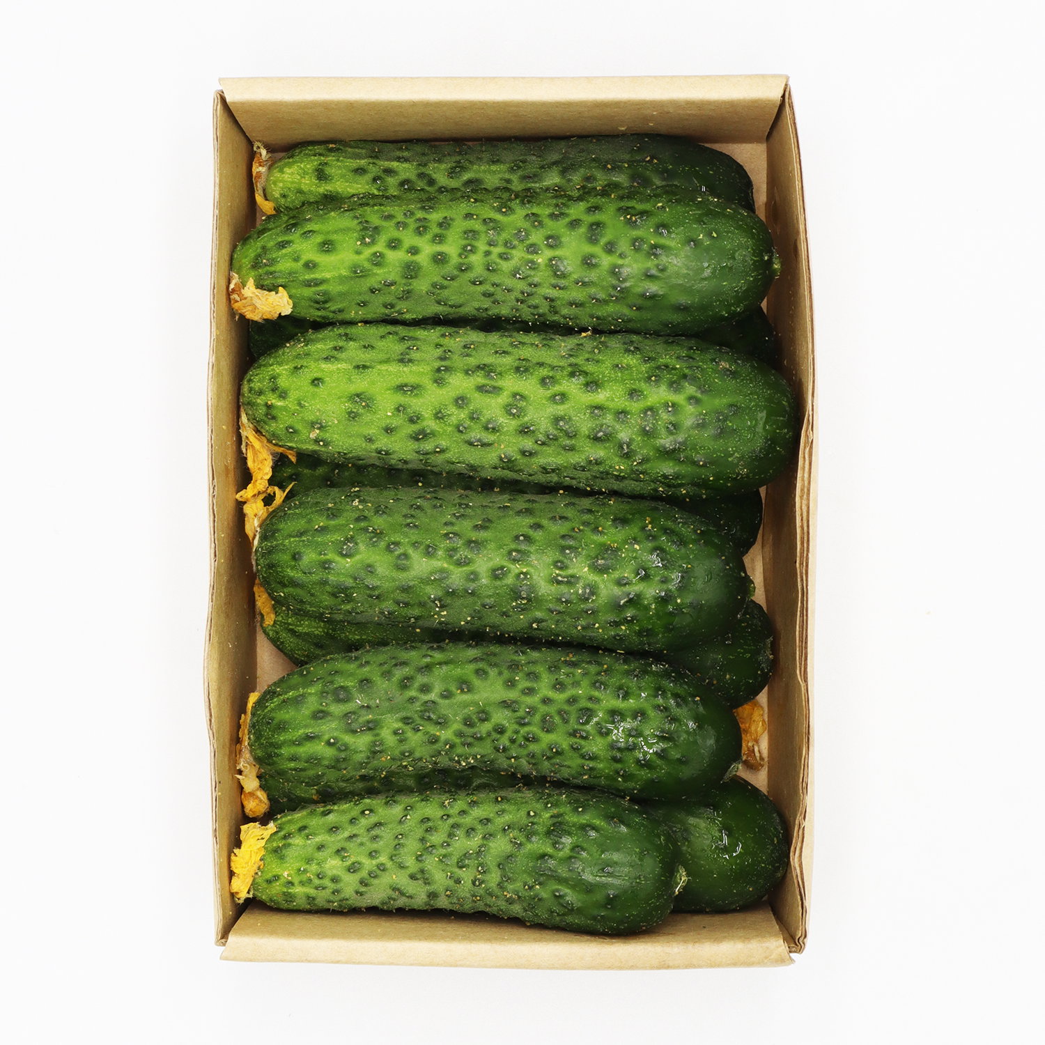 Crispy Cucumbers 1 pack_1