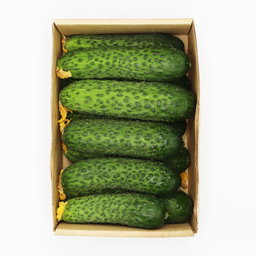 Crispy Cucumbers 1 pack