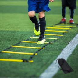 Agility Training Ladder