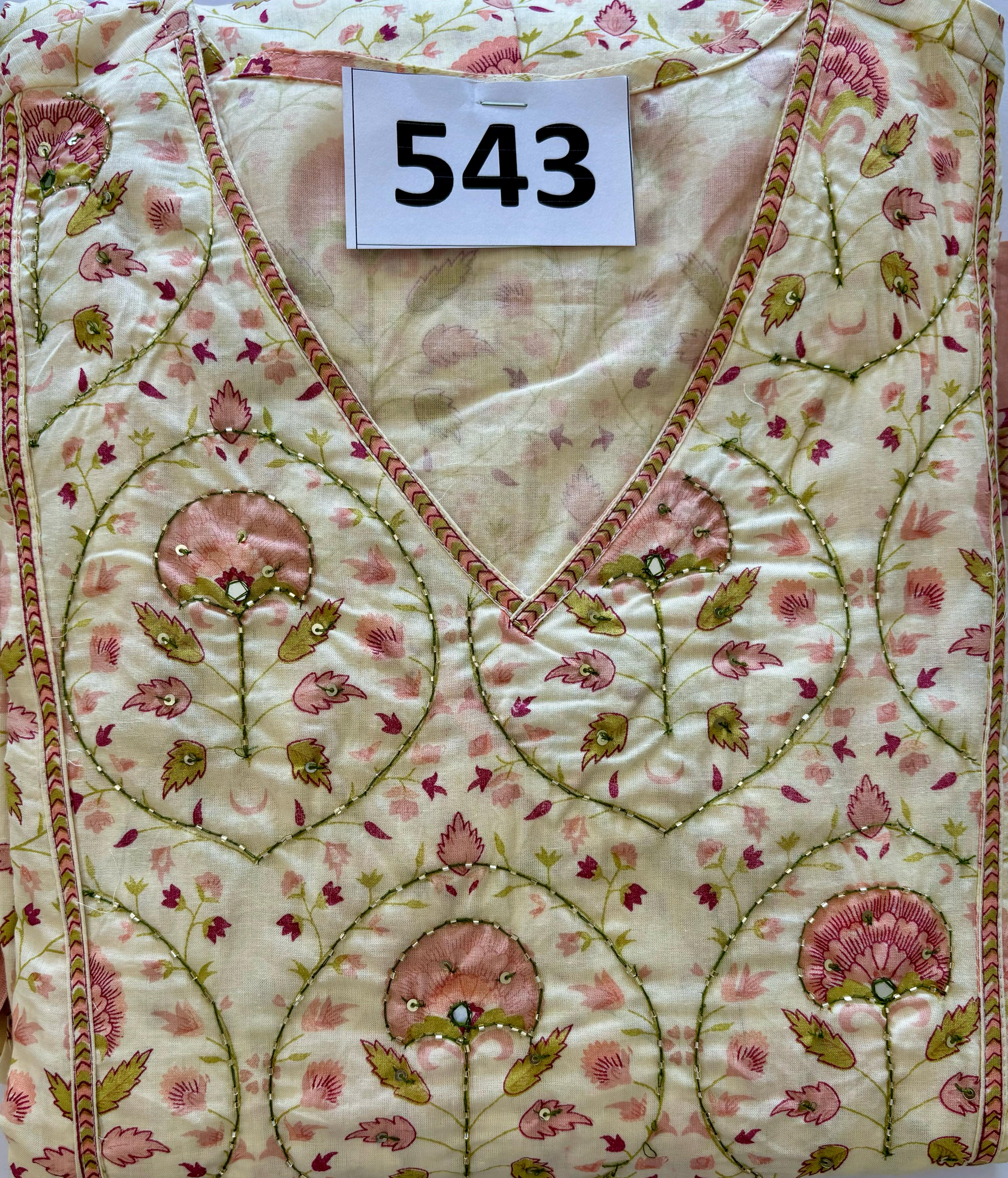 D.No. 543 Cream Handwork Anarkali Set (1550)_2