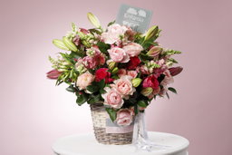 Blush Petals