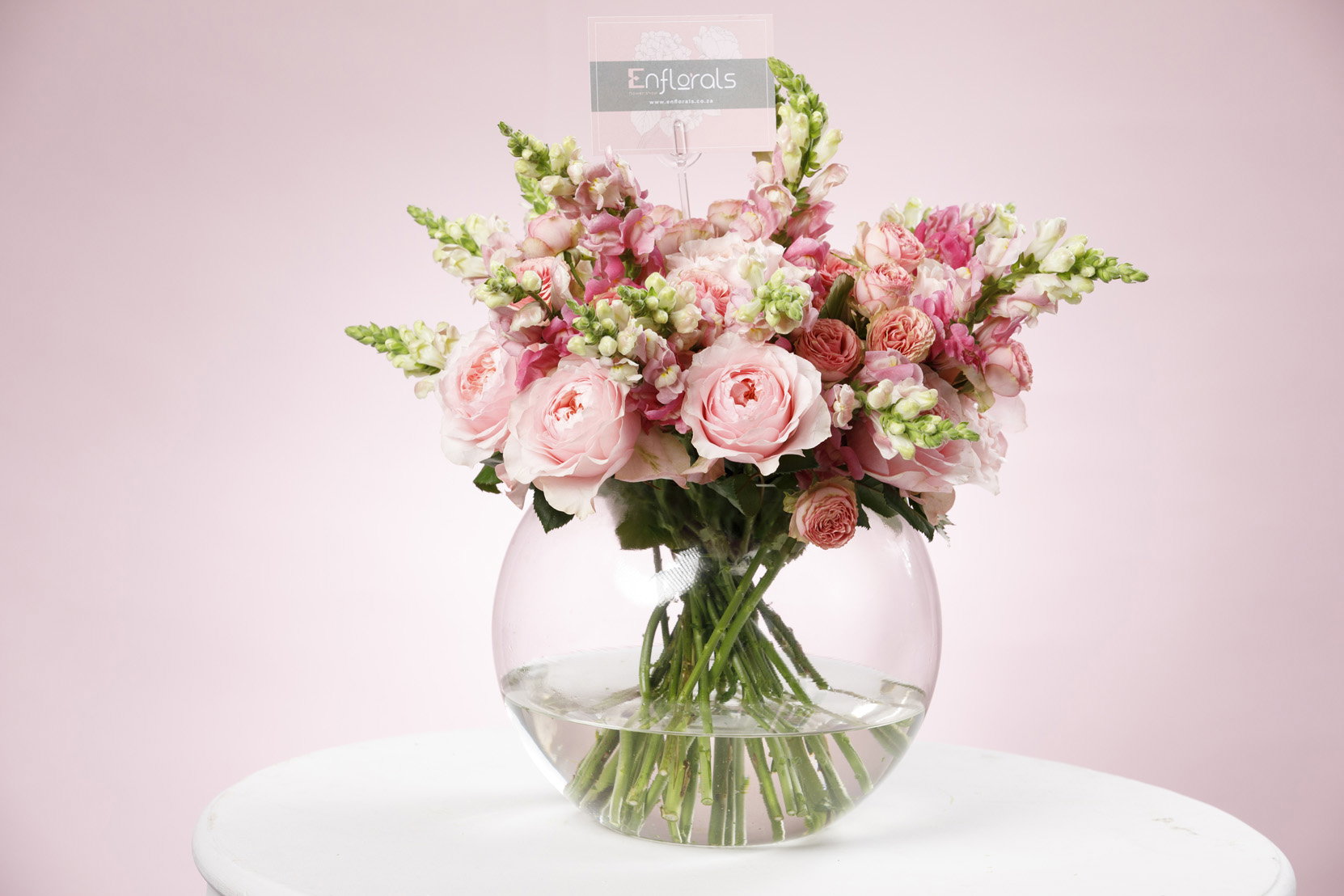 Pink Whisper blooms_0