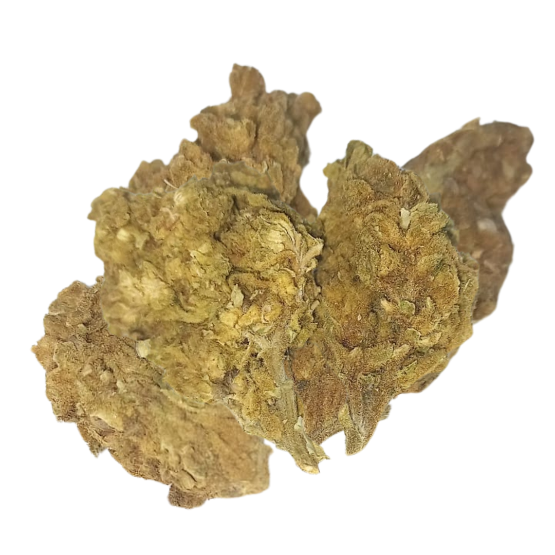 Swazi Mango