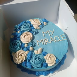 8 inch Single Layer Cake 