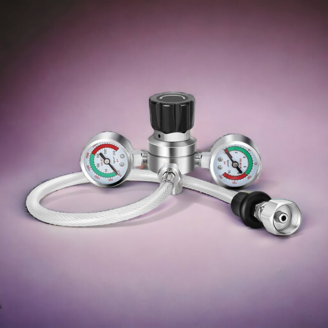 Professional Gas Pressure Regulator