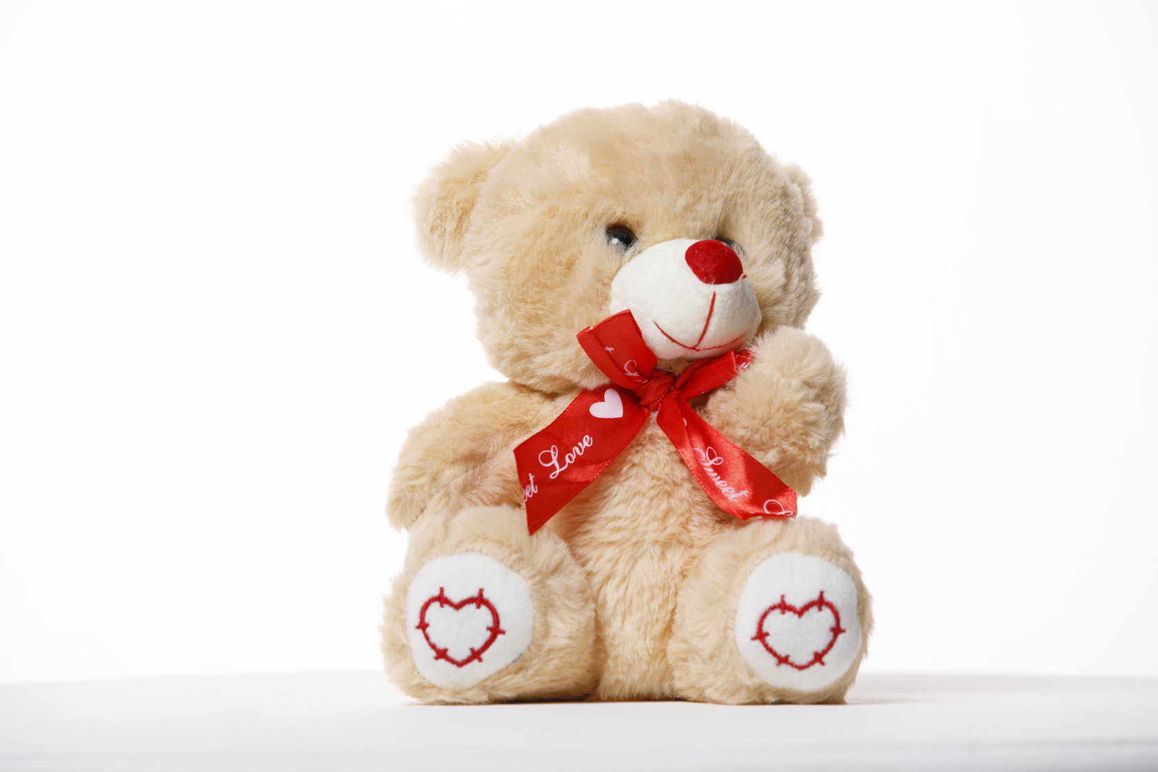 Teddy Love_0