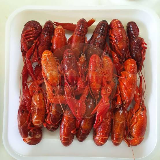 Original Crawfish Baby Lobster   原味 小龙虾