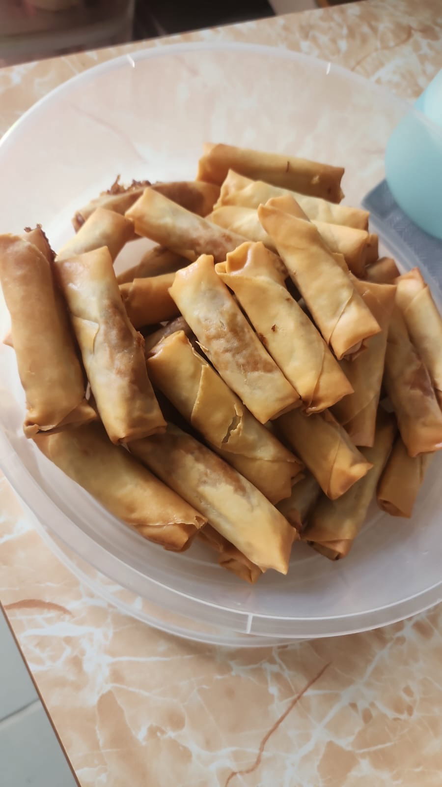 Fried Vegeterian Spring Roll_0