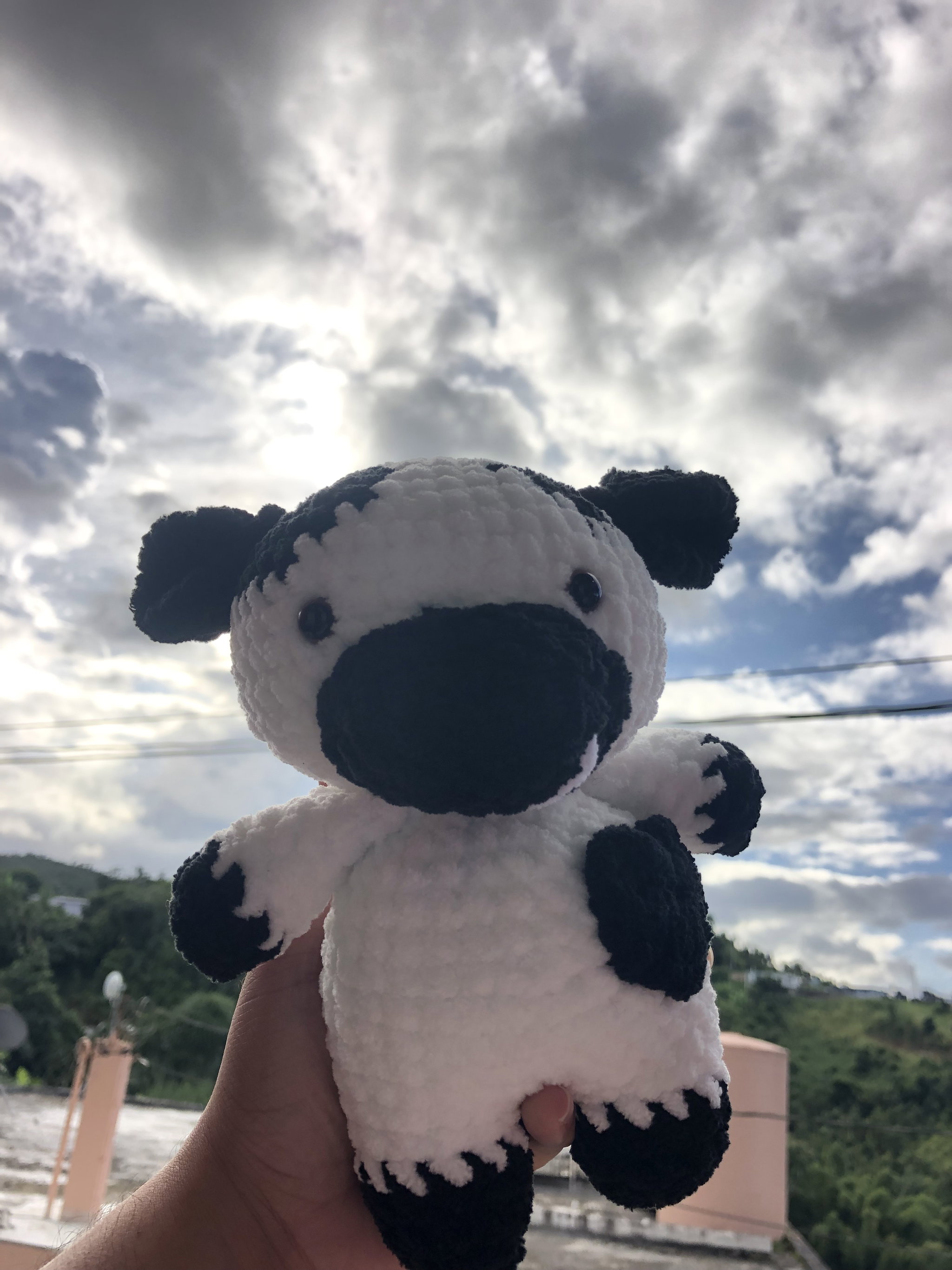Vaca_0