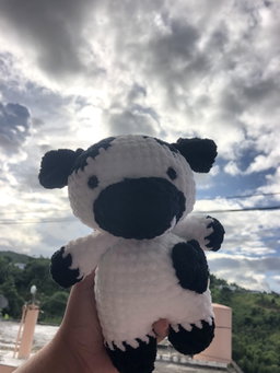 Vaca