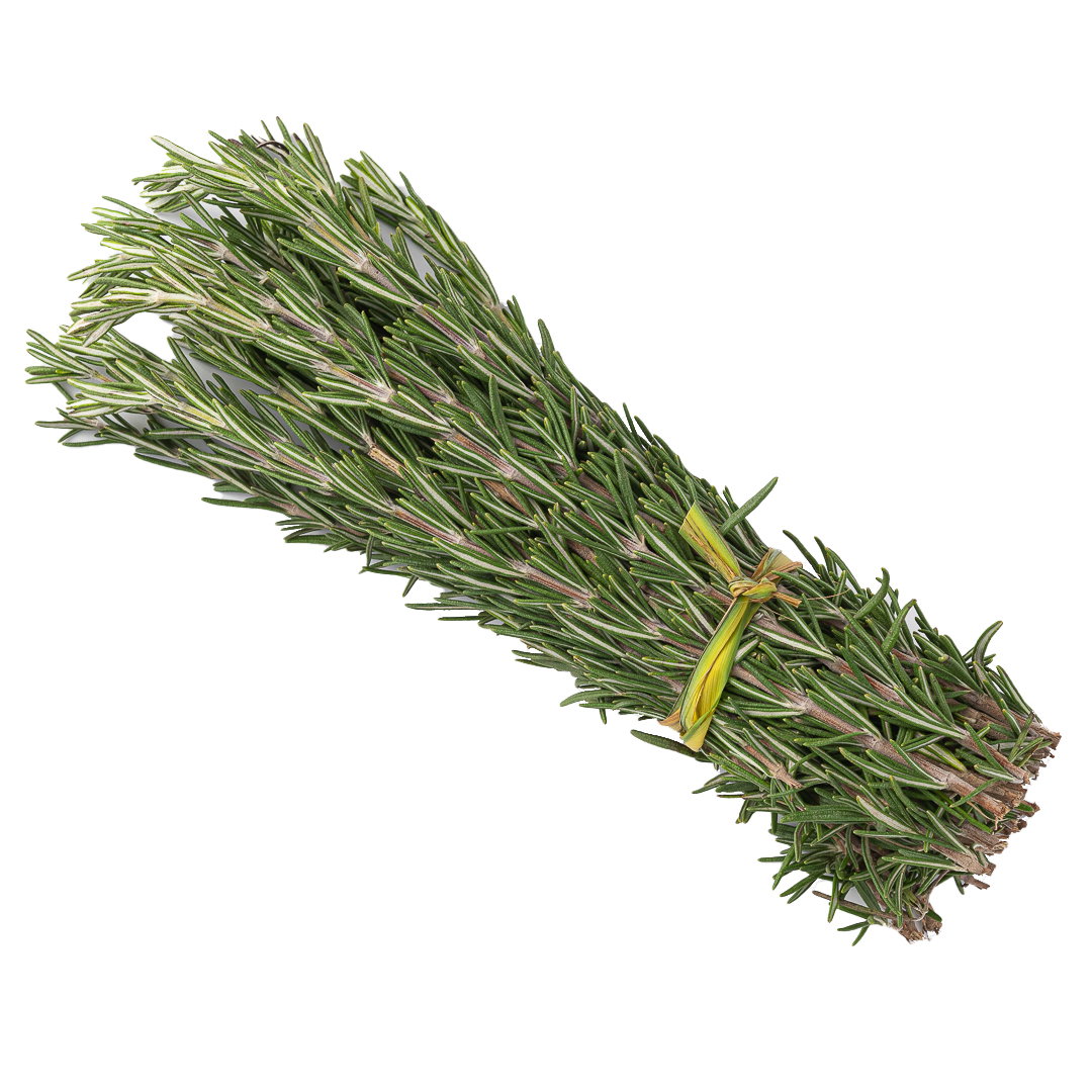 Romero Mazo_0
