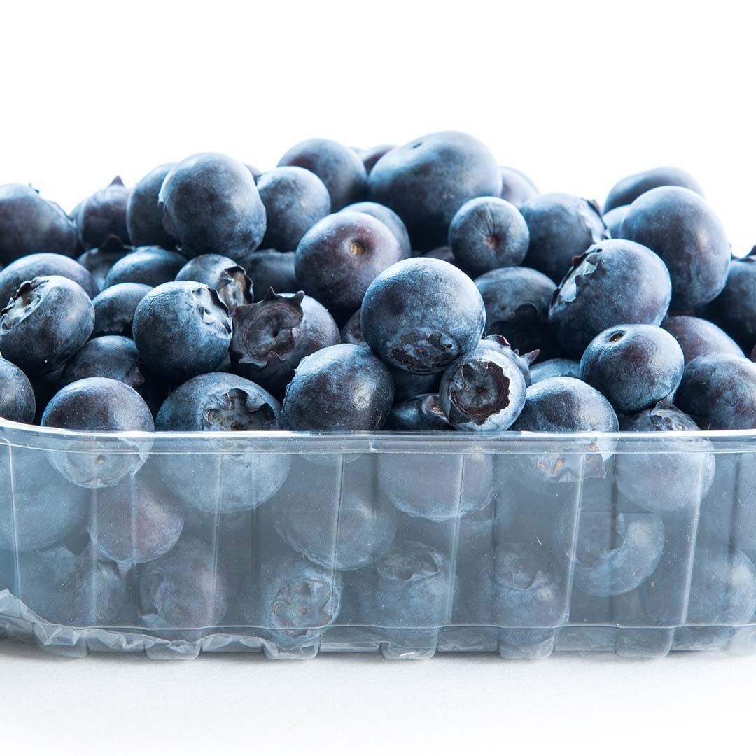Blueberry (Arandano)_0