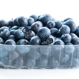 Blueberry (Arandano)