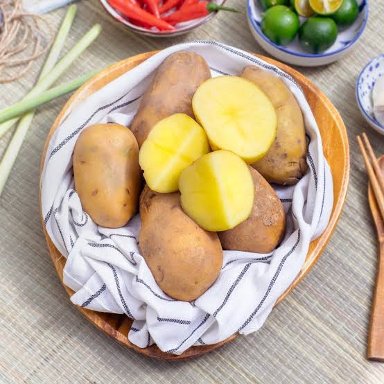 Holland Potato