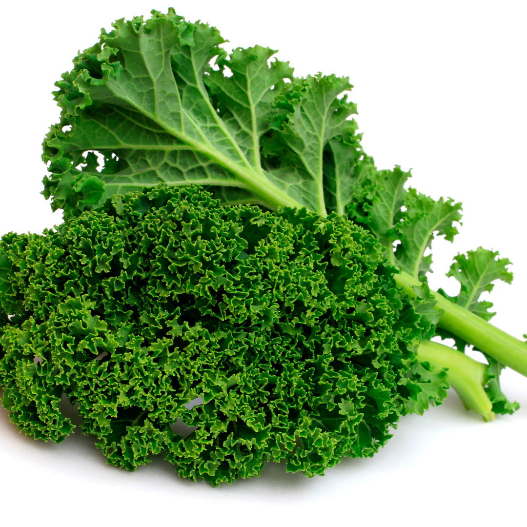 Lechuga Kale_0
