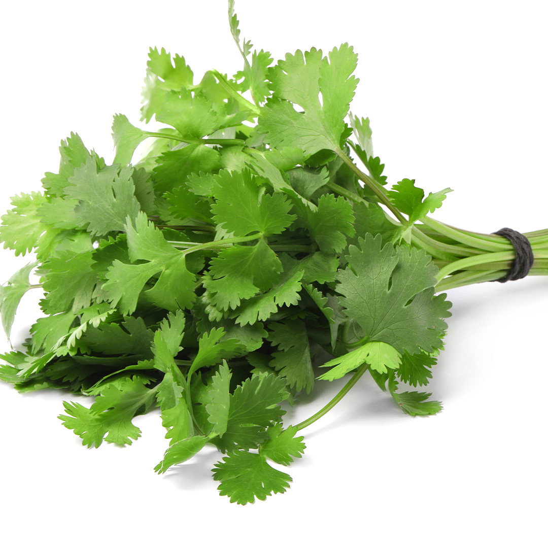 Cilantro Chino Mazo (entre 1/4 libra - 1/2 libra)