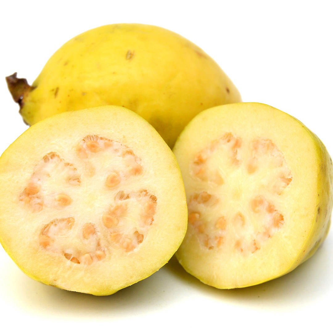 Guayaba_0