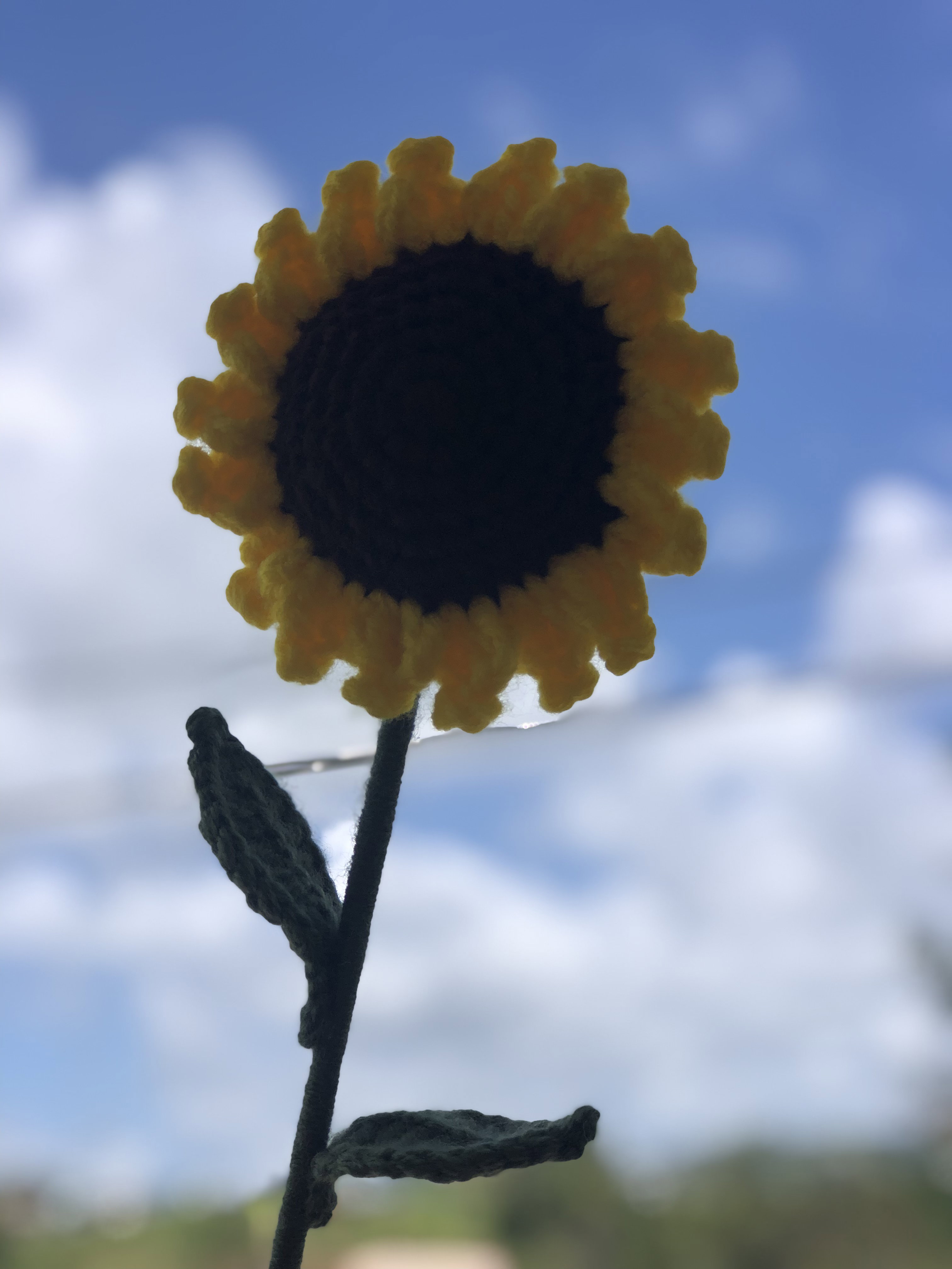 Girasol XL