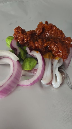 Squid 