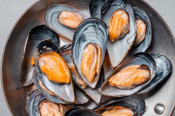  Mussel _0