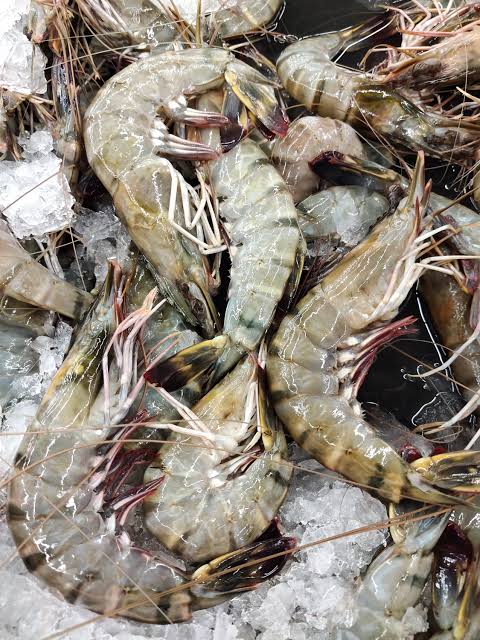 Tiger Prawn