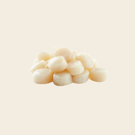Hakkaido Japanese Scallops 10/20