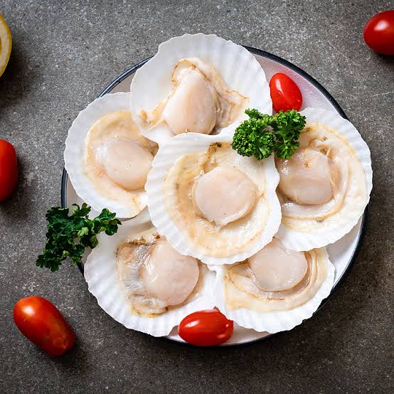 Half Shell Scallop (1kg)