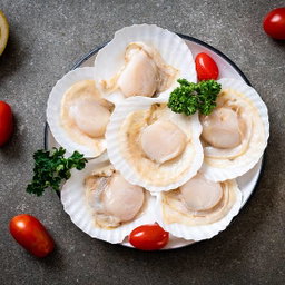 Half Shell Scallop (1kg)