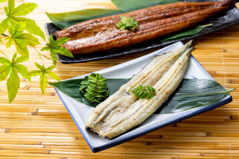 Unagi _0