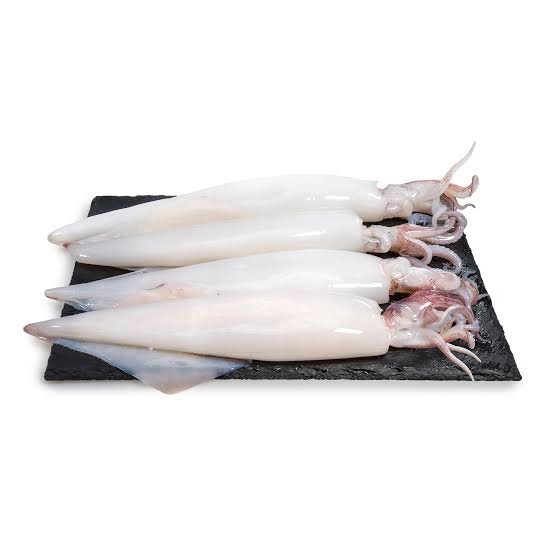 Whole Raw Squid_0