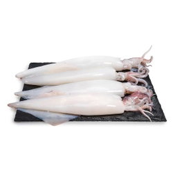Whole Raw Squid
