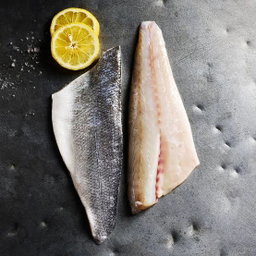 Seabass Fillet