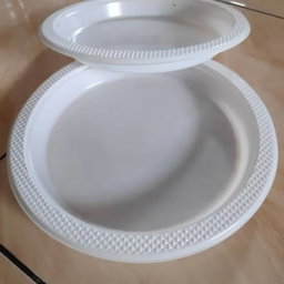 9 inch Plastic Plate