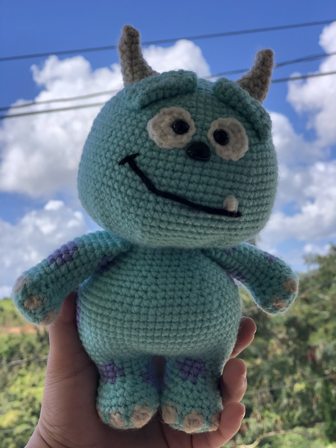 Sully (Monster Inc)