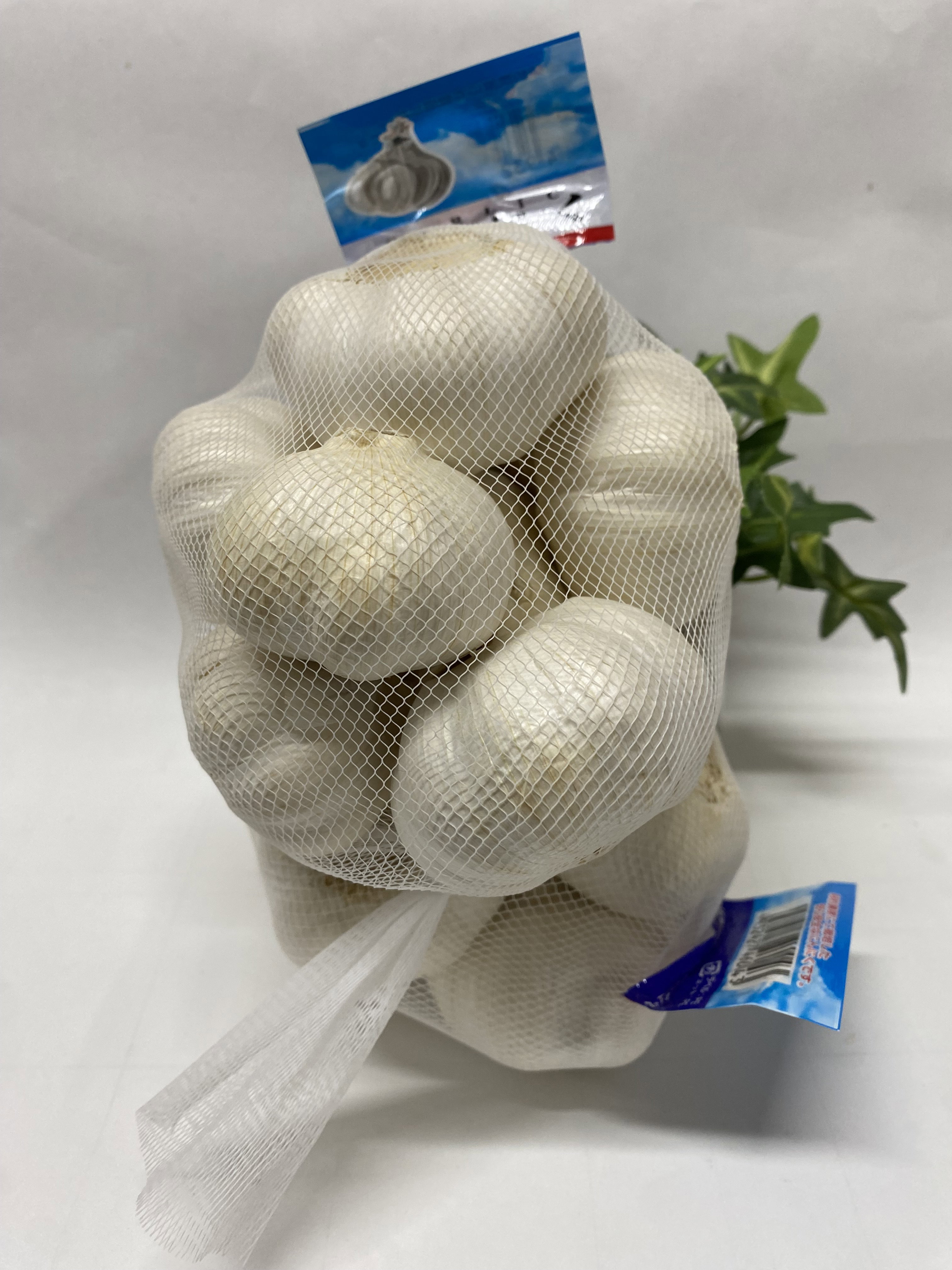 Bawang Putih 1kg