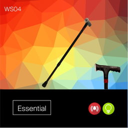 AgeGracefully Stickplus Essential