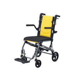 Bion Traveller E100