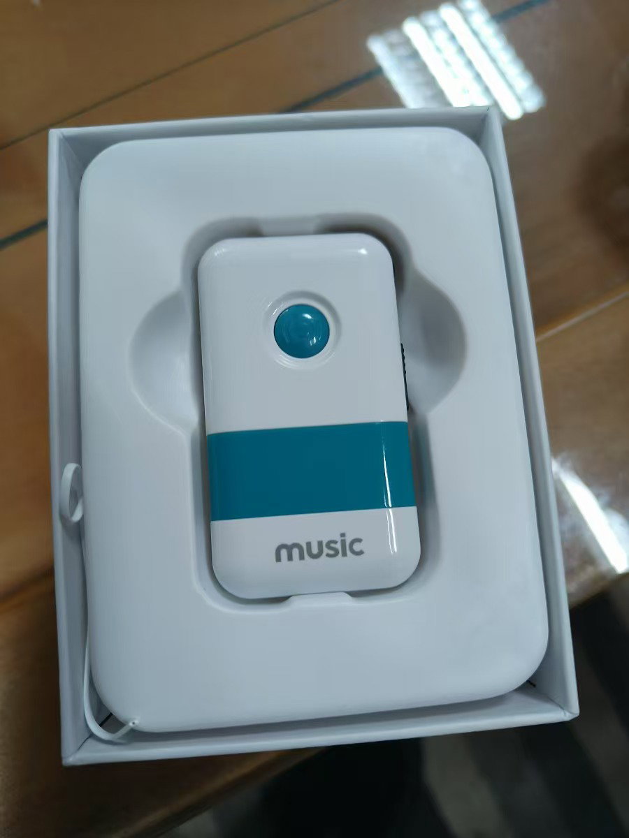 Voice Amplifier_1