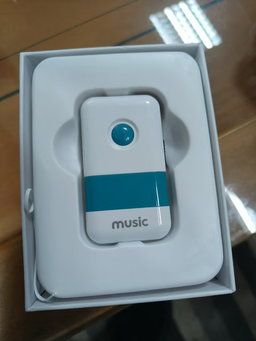 Voice Amplifier