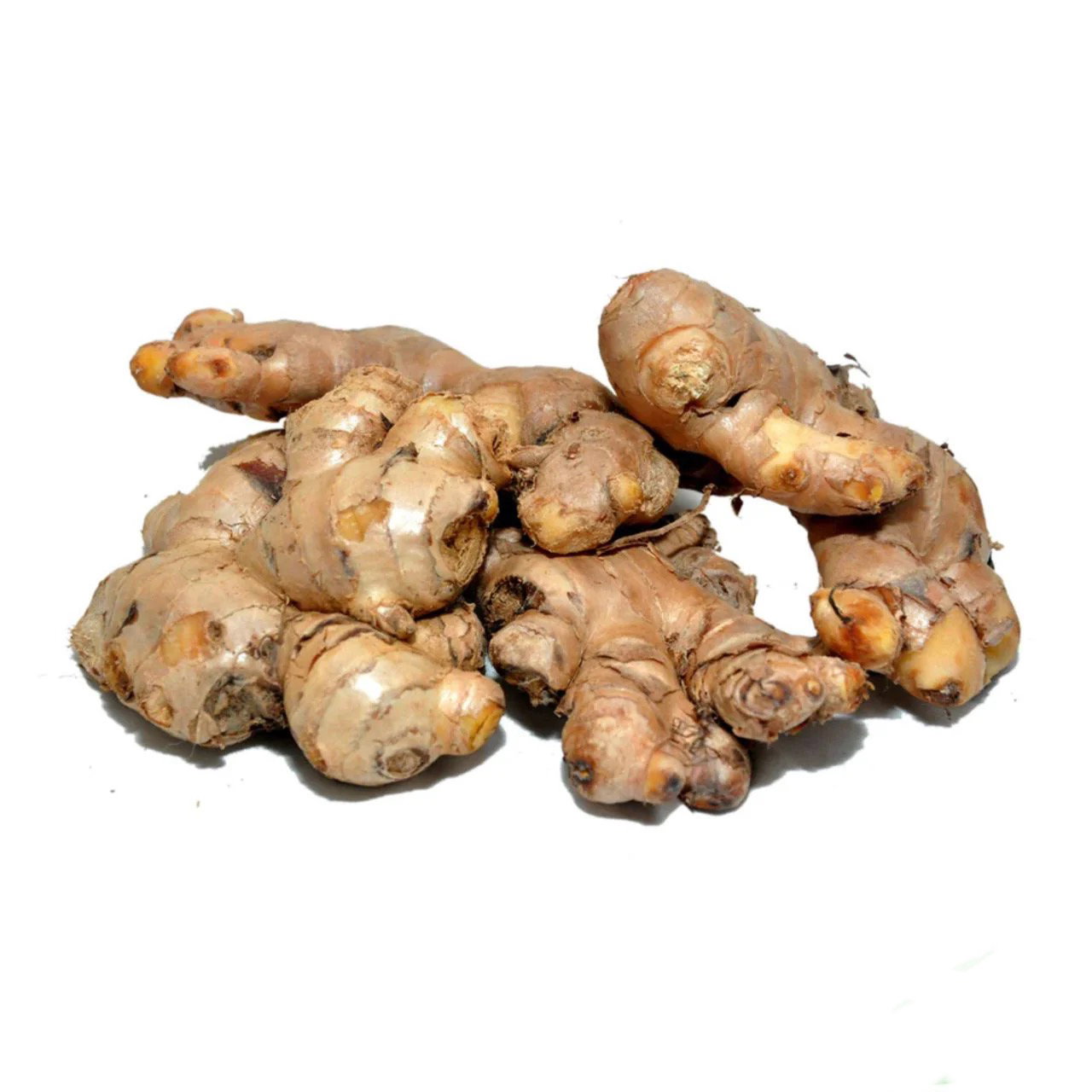 Organic Old Gingers (10-11 months) 300g_0
