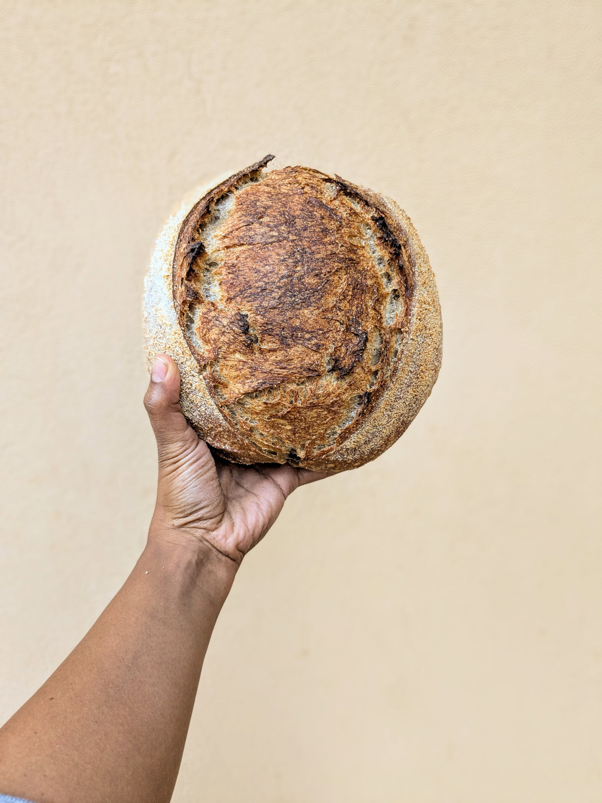 Large Kenyan Classic Sourdough_1