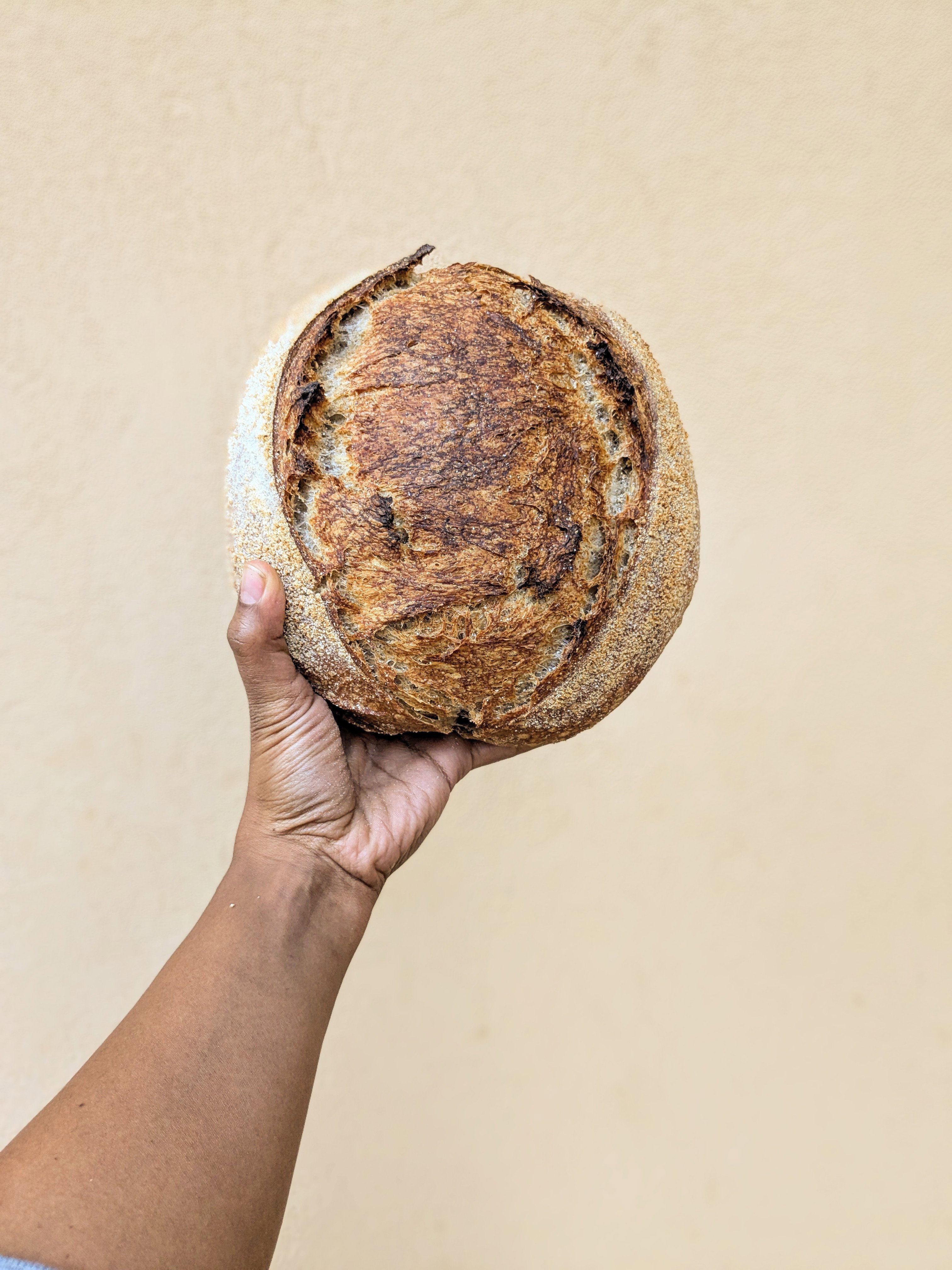Large Kenyan Classic Sourdough_1