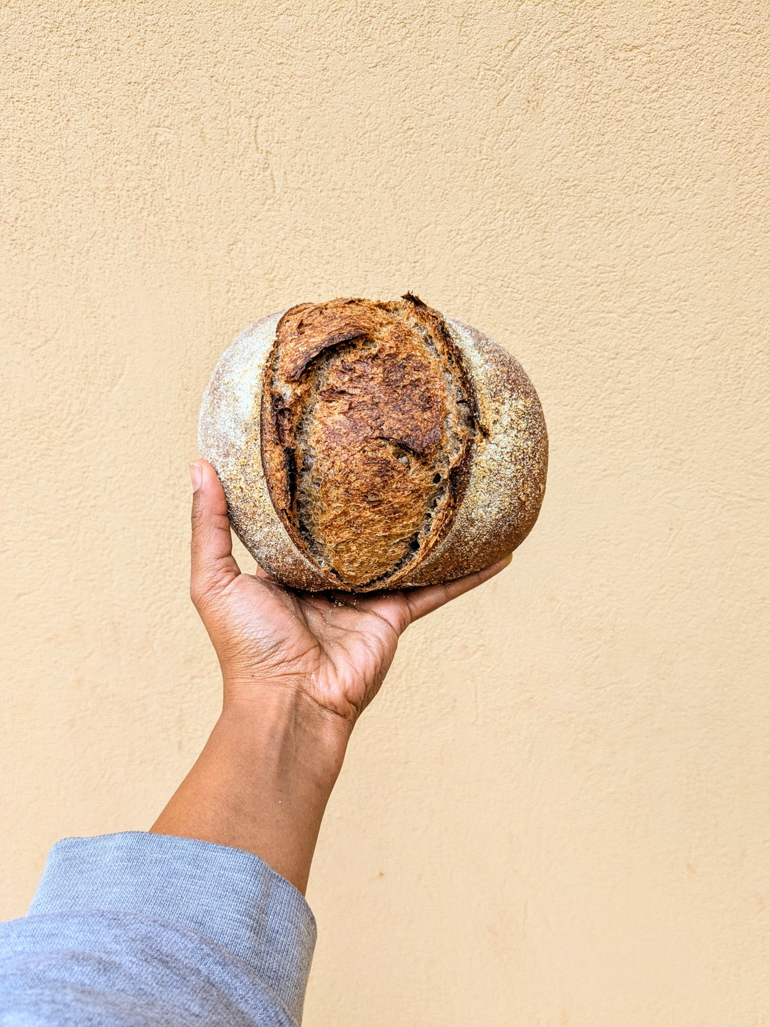 Small Red Sorghum Sourdough