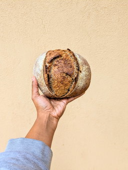 Small Red Sorghum Sourdough