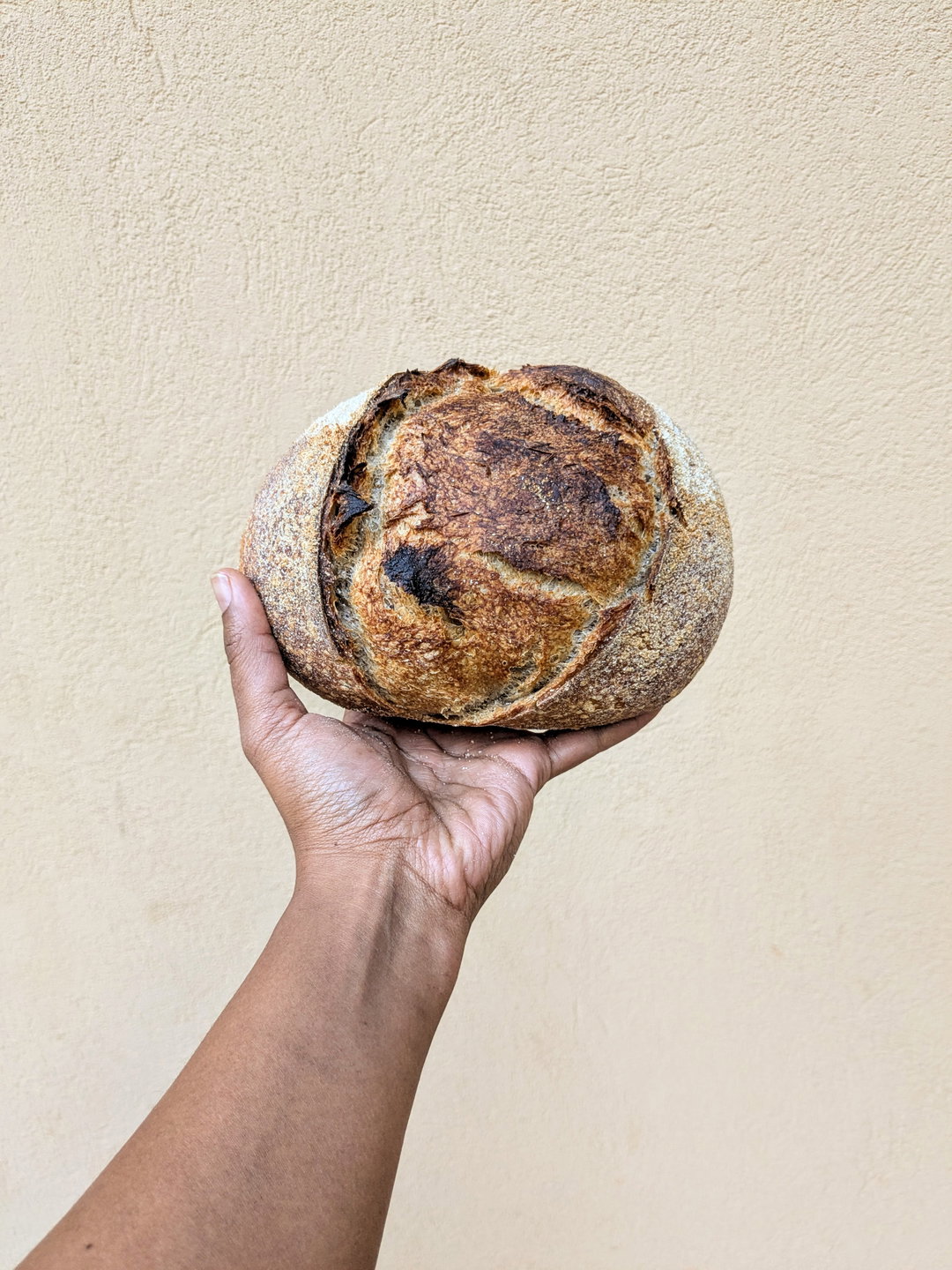 Small Kenyan Classic Sourdough